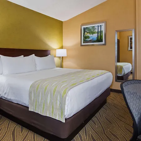 Western Premier Ark Hotel 4*
