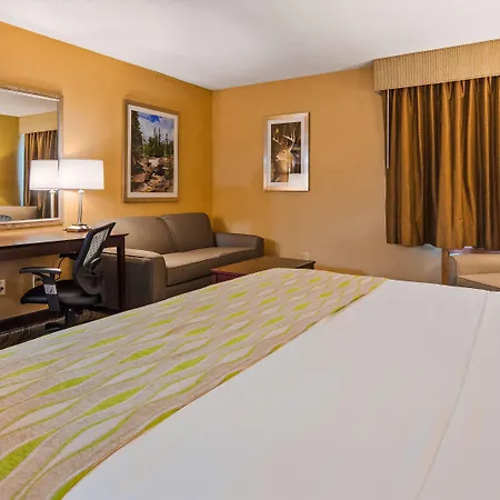 ベスト ウェスタン プレミア アーク 4* ティラナ